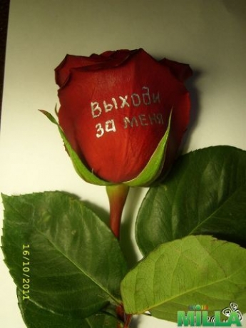 Надписи на цветах