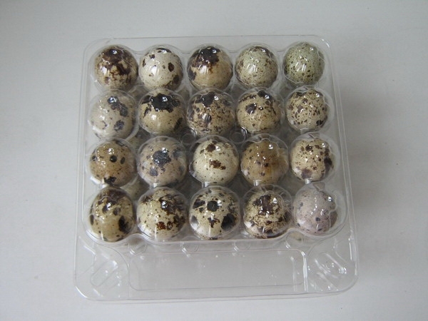 Прозрачная упаковка для яиц