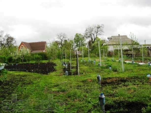 Дом с прекрасным садом 40 км от Киева Бориспольский р-н с.Любарцы