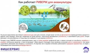 Удобрение для прудов РИВЕРМ (аквакультура)