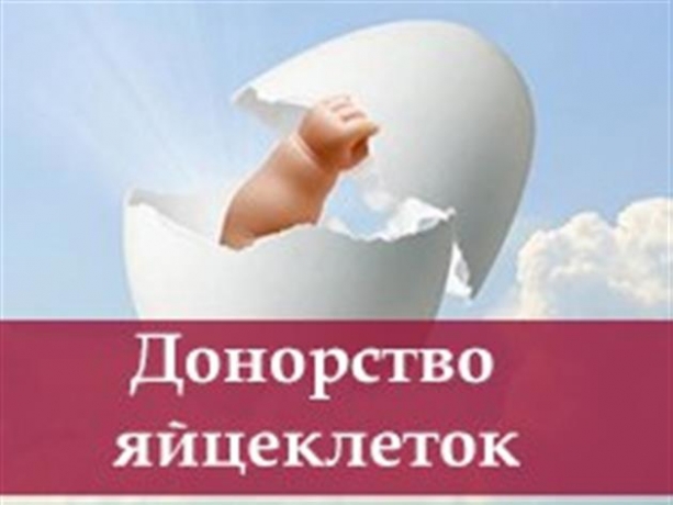 Станьте суррогатной мамой или донором яйцеклетки