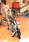 Предлагается кот шотландский прямоухий (страйт) для вязки шотландской вислоухой кошечки, Киев Молодо
