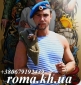 Интернет-магазин одежды "Рома" Футболка камуфлированная тельняшка