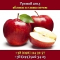 Купить яблоки урожая 2015 Опт, свежие Украина