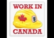 Работа в Канаде официально, получение гражданства.