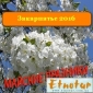 Майские праздники 2016 на Закарпатье. Этнотур