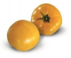 Семена желтого томата KS 10 F1 (Китано)