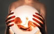 Клинике требуются суррогатные мамы и доноры яйцеклеток