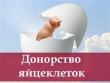 Сотрудничество для доноров и суррогатных мам. Черновцы
