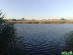 Продам участок 19сот.на берегу р.Самарчук Песчанка