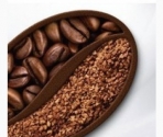 Millicano-растворимый кофе на развес от производителя