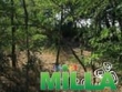 Продам участок 6 сот. возле моря