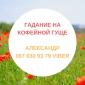 Магическая помощь в сложной ситуации