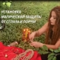 Снятие порчи. Гадание. Лечебная магия.