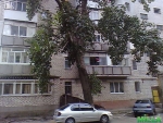 1-к квартира ул. Ген. Петрова в хорошем состояни