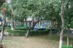 Офис (готовый бизнес), Владимира Высоцкого
