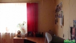 Продам дом Вышгородский р-н., с. Хотяновка